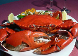 Bob Chinn’s Crab House Norovirus Outbreak