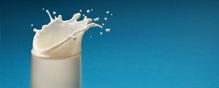 Wisconsin School Campylobacter Outbreak