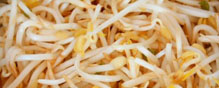 The cause of the most deadly E. coli outbreak in history has been linked to bean sprouts