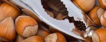 Hazelnuts distributed in Wisconsin, Minnesota, Michigan, South Dakota, Montana, and Iowa have been determined to be the cause of an E. coli outbreak.