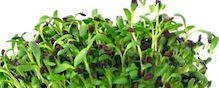 Salmonella outbreak traced to sprouts served at Jimmy John's