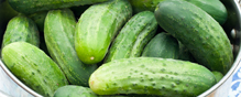 Cucumber Salmonella Outbreak