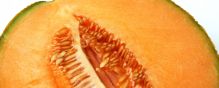 Del Monte cantaloupe sold at Costco locations in the Western US is responsible for a March 2011 Salmonella Panama outbreak that has sickened at least 