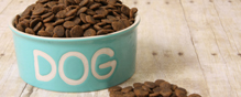 Dog food sold by Diamond is the source of a Salmonella outbreak among people.