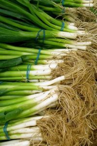Hepatitis A outbreaks have been traced to green onions and other fresh produce.