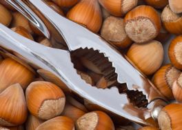 Hazelnuts Source of E. coli Outbreak Among Wisconsin, Minnesota and Michigan Residents