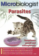 Lawyers, Microbiologists and Safe Food