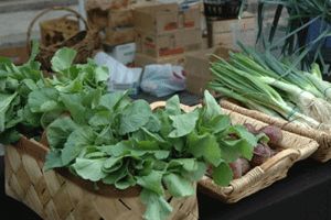 Fresh produce is often the source of E. coli outbreaks.