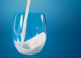 E. coli Outbreak Traced to Cozy Valley Creamery Raw Milk