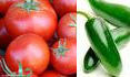 Raw Tomato and Pepper Salmonella Outbreak - 43 States, DC, Canada